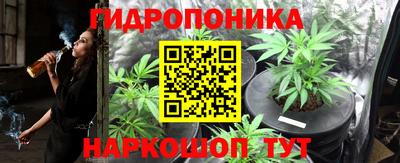 ГАЛЛЮЦИНОГЕННЫЕ ГРИБЫ Лесосибирск