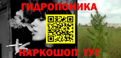 гашик Кулебаки