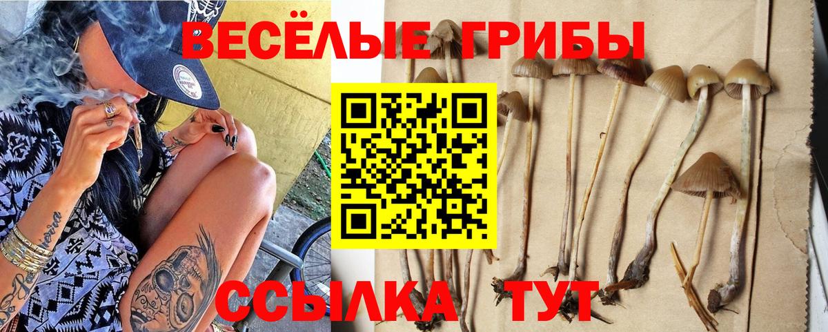 Будённовск  Псилоцибиновые грибы Magic Shrooms  Вход с VPN 